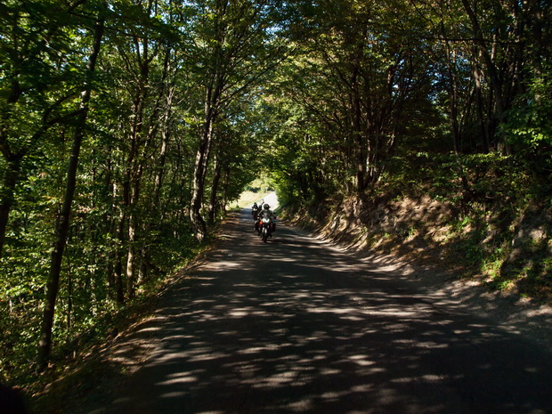 Road through Plitvice NP