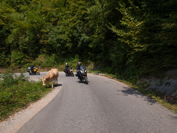 Bosnia and Herzegovina, road near Montenegro borders