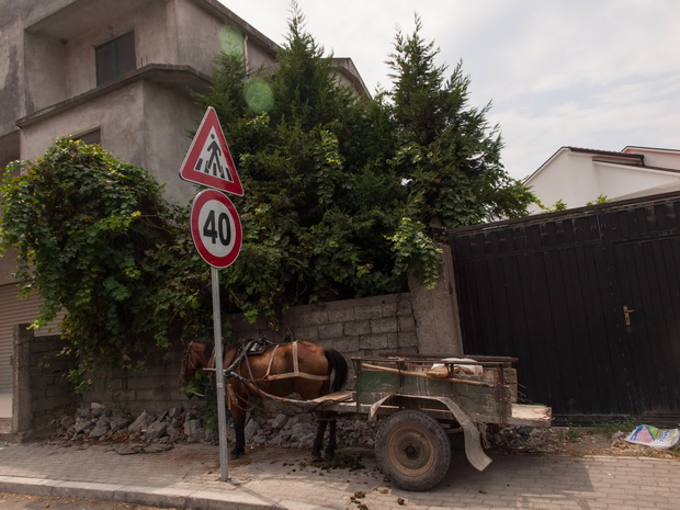 Skorda, Albania