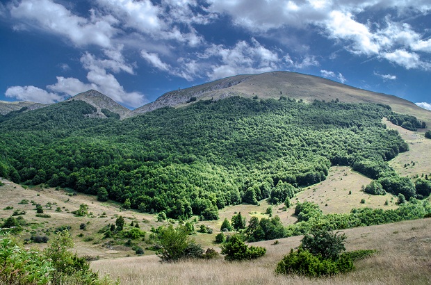 Galicica National Park