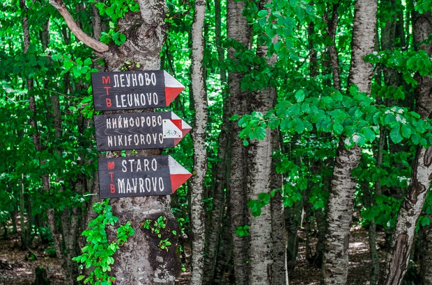 Mavrovo National Park, FYROM