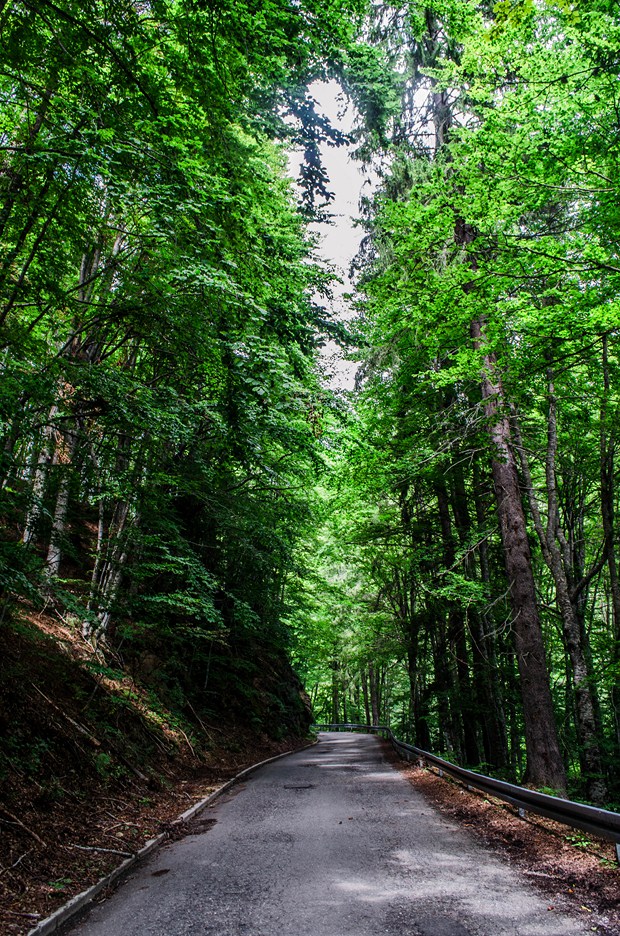 Road to Berane, Montenegro