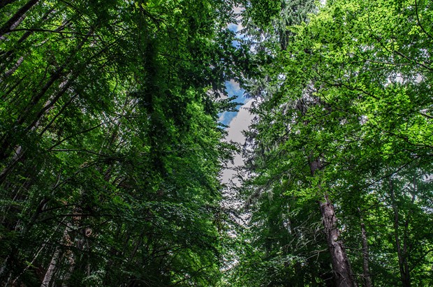 Road to Berane, Montenegro