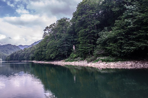 Biogradska Gora National Park, Montenegro