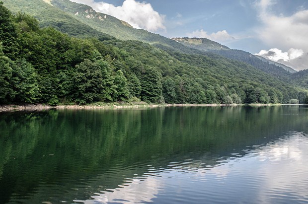 Biogradska Gora National Park, Montenegro