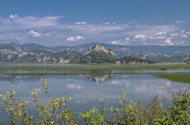 Skadarsko lake, Montenegro