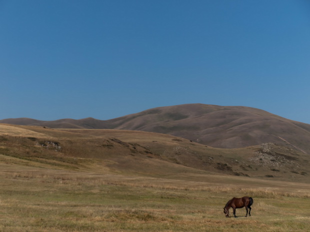 Road from Gyumri to Georgian borders