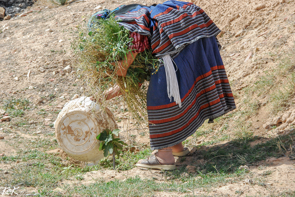 tunisian woman at work