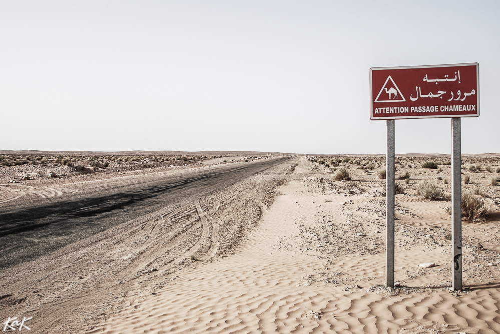 sahara sign