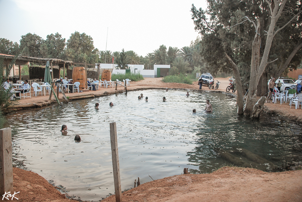 pool in the Sahara desert