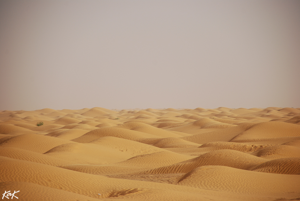 sahara dunes