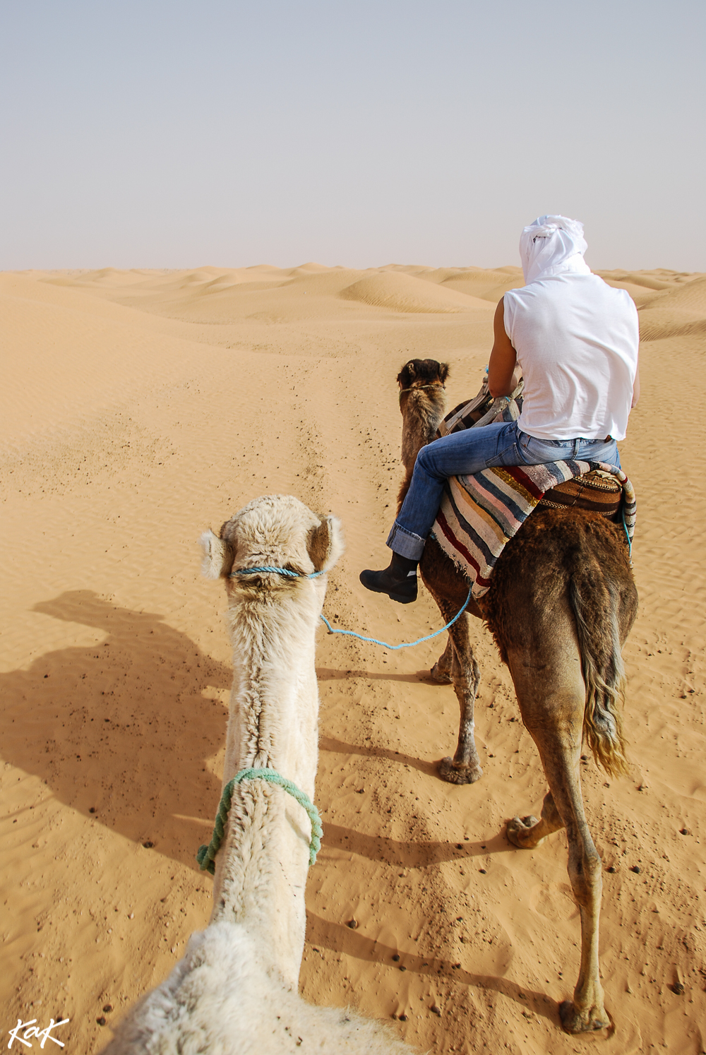 camel riding in sahara