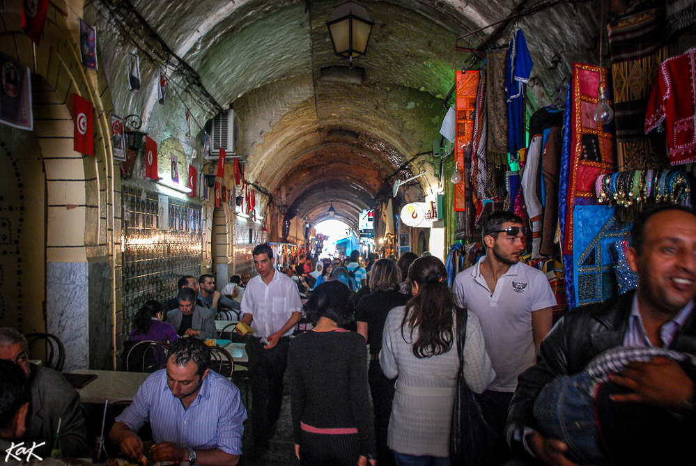 tunis medina cat