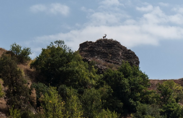 Arevik National Park