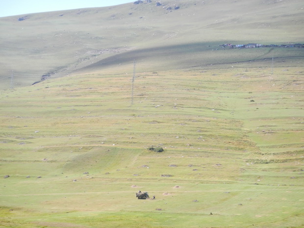 Fields of Turkey