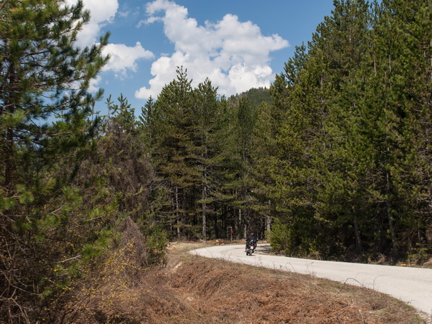 Near Vovousa, Pindos