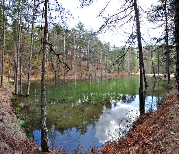 Near Aoos springs