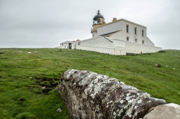 100_Day 21 (234) new (Custom)