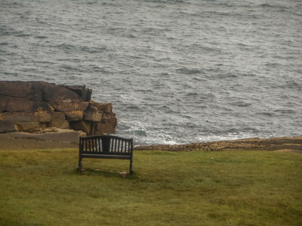 101_Day 21 (41) new (Custom)