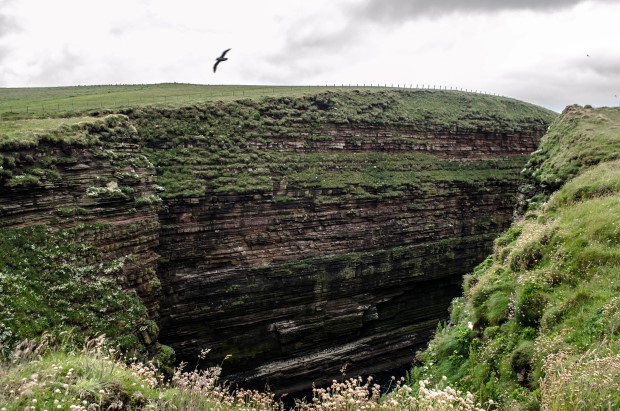 12_Day 21 (31) new (Custom)