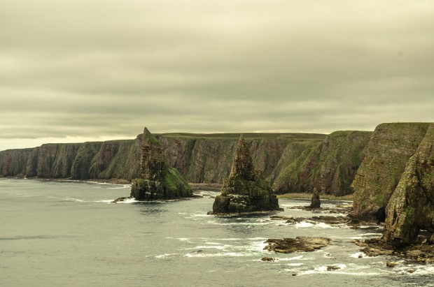 14_Day 21 (35) new (Custom)