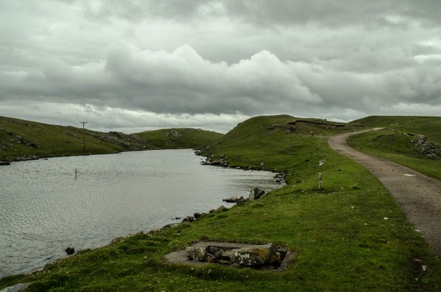 29_Day 21 (75) new (Custom)