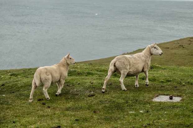 39_Day 21 (114) new (Custom)