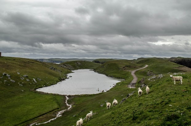 40_Day 21 (115) new (Custom)