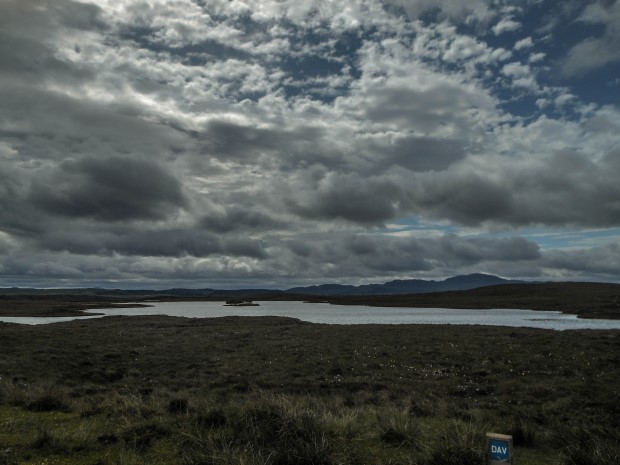 46_Day 21 (11) new (Custom)