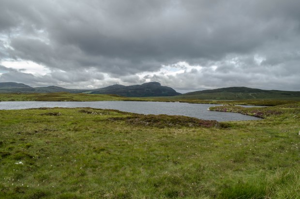 48_Day 21 (130) new (Custom)