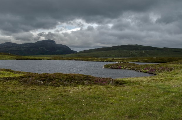 49_Day 21 (131) new (Custom)