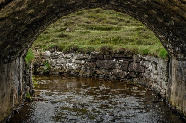 73_Day 21 (184) new (Custom)