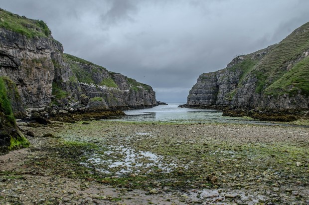 75_Day 21 (194) new (Custom)