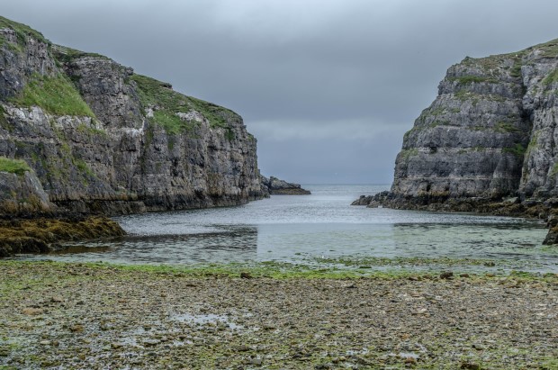 76_Day 21 (195) new (Custom)