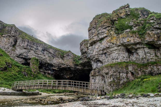 77_Day 21 (196) new (Custom)