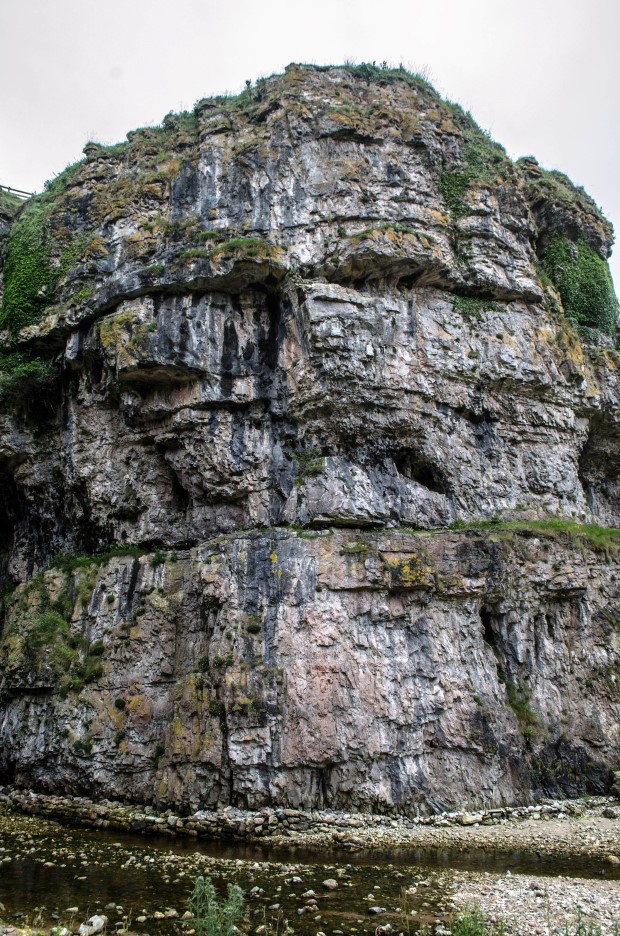 79_Day 21 (201) new (Custom)