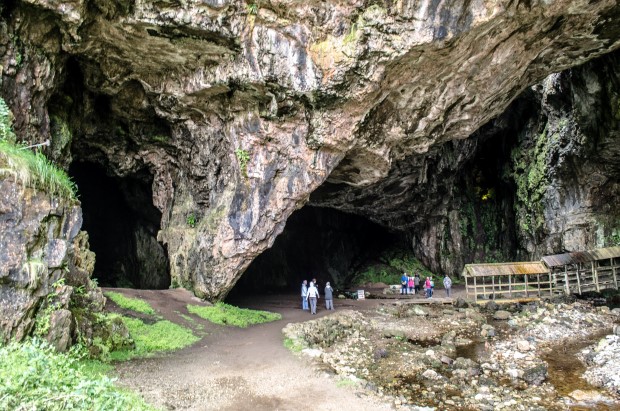 80_Day 21 (203) new (Custom)