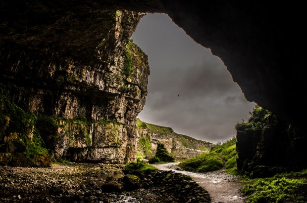 81_Day 21 (205) new (Custom)