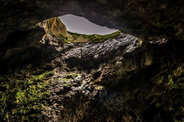 82_Day 21 (206) new (Custom)