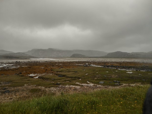 87_Day 21 (24) new (Custom)