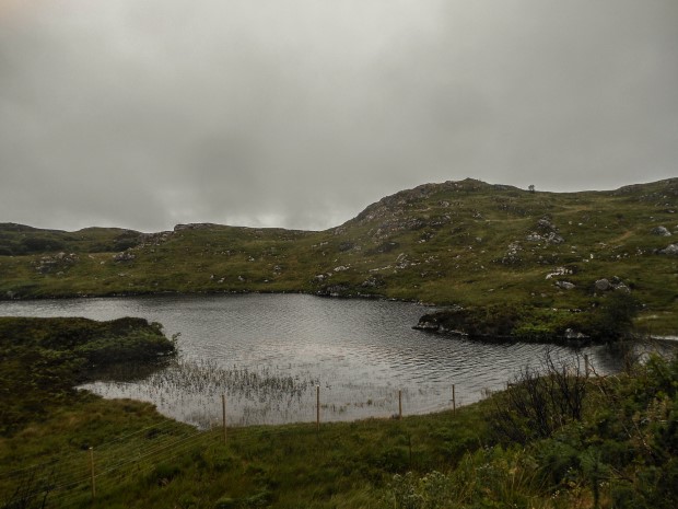 88_Day 21 (26) new (Custom)