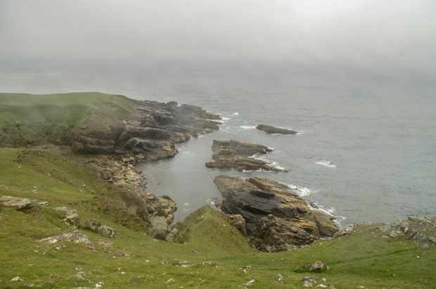 97_Day 21 (226) new (Custom)