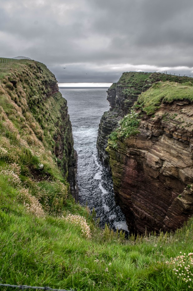 9_Day 21 (20) new (Custom)