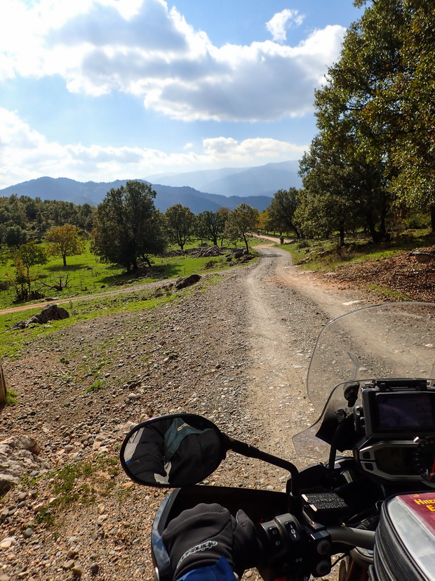 Road to Portitsa bridge