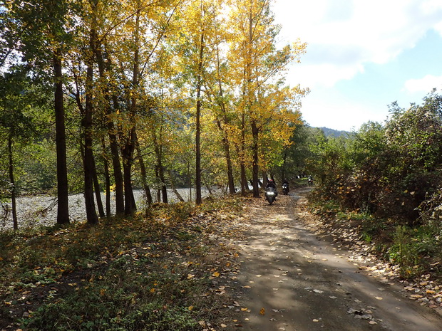 Road to Portitsa bridge