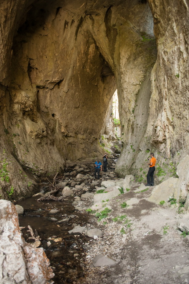 Miraculous Bridges