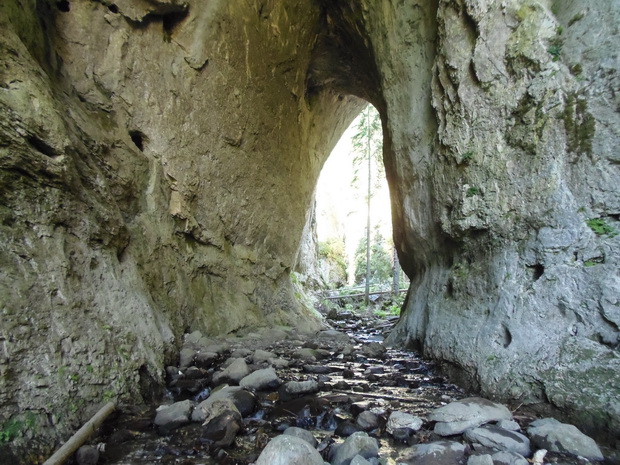 Miraculous Bridges