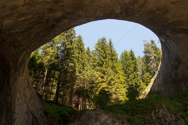 Miraculous Bridges