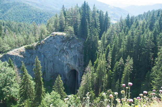 Miraculous Bridges