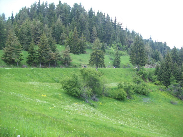 Kardzhali-Ardino road